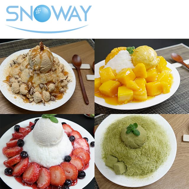 Buy Wholesale South Korea Snoway Mini-h, Snow Flake Ice Machine